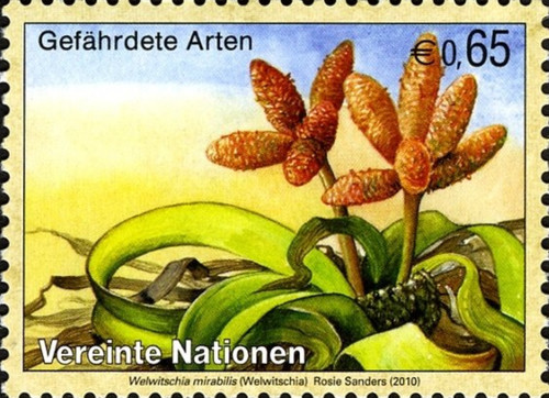 Vienna mi641 mnh 2010 - vienna,