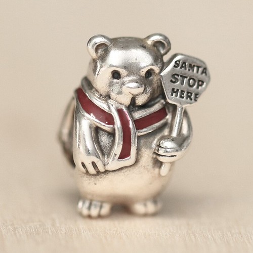 New authentic pandora charm - authentic,