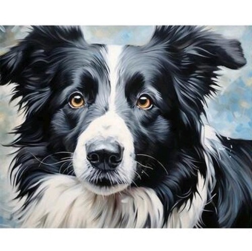 Border collie paint numbers - by,