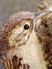 Hand Sculpted/Painted The