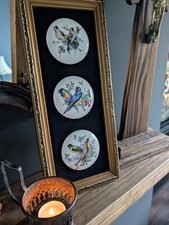 Vintage Harleigh China Birds Plaque Staffordshire Ceramic Framed with Velvet