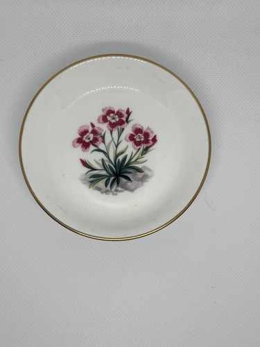 Royal worcester alpine - worcester,