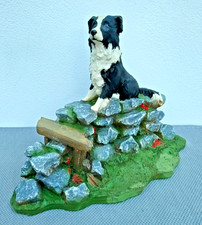 Border Collie Dog on Dry Stone Wall - Excellent Condition