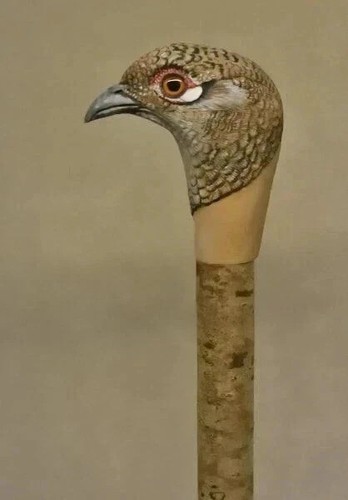 Wooden walking stick hand