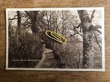 Lovers Grove Barnstaple Devon