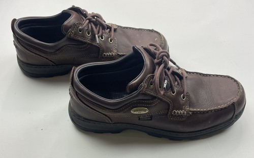Red wing irish - irish, setter