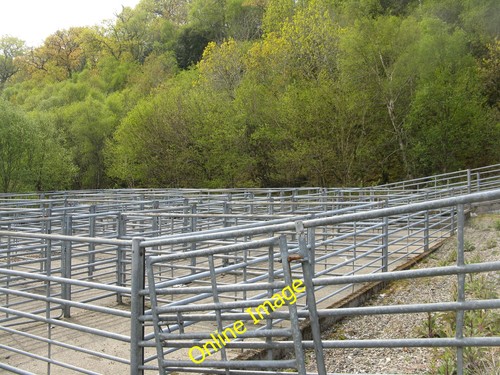 Photo 12x8 livestock pens - 12x8, at