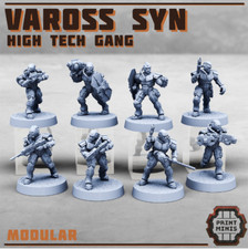 28mm High Tech Gang - Vaross