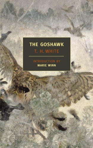 The goshawk h white - the,