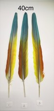 Parrot Macaw Feather Crafts