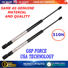 2X REAR TAILGATE GAS STRUTS