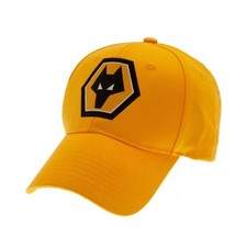 Wolverhampton Wanderers FC