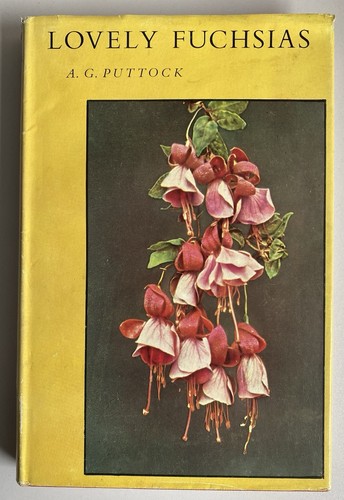 Lovely fuchsias g - lovely,