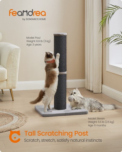 Feandrea cat scratching post - feandrea,