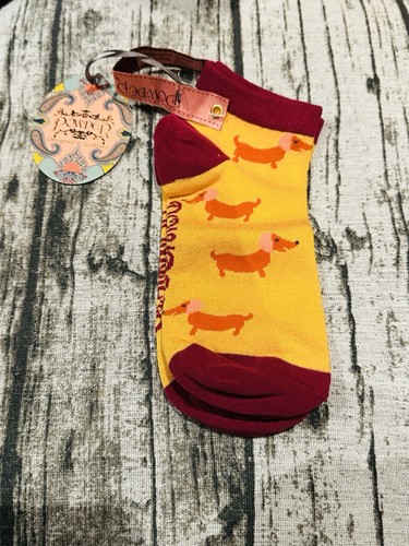 Dachshund sausage dog - dog, trainer