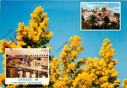 Picture postcard grasse - picture, postcard-:grasse