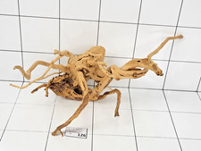 Premium Natural Aquarium Red Moor Wood Root Driftwood Fish Tank Decoration 126