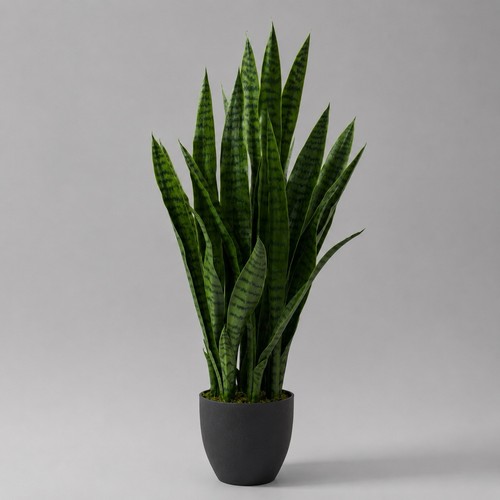Artificial sansevieria - artificial,