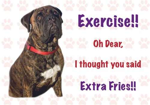 Funny bullmastiff dog vinyl - funny,