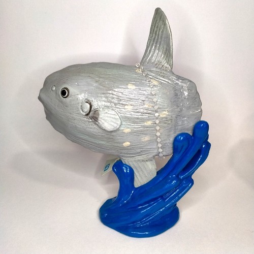 Ocean sunfish safari - ocean, ltd