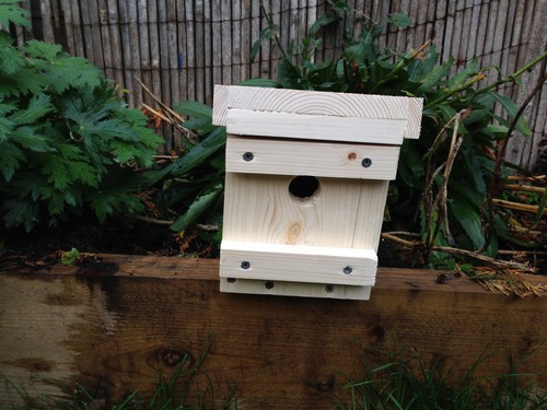 Wooden dormouse nest box - wooden,