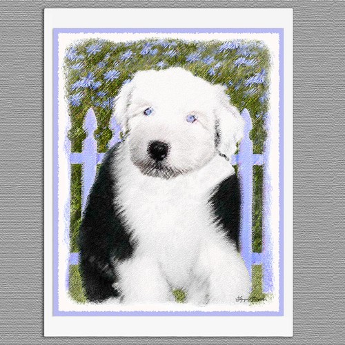 Old english sheepdog blank - 6,