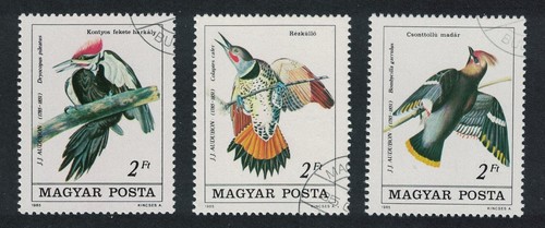 Hungary flicker waxwing - hungary,