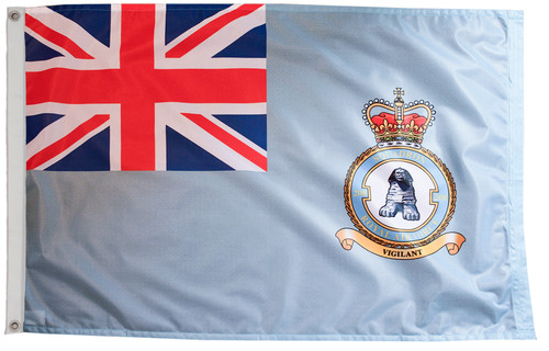 Raf 208 squadron - flag, with