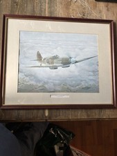 Spitfire Picture 
