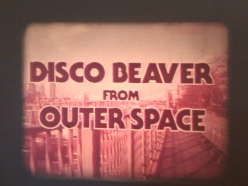 National lampoon disco beaver - national,