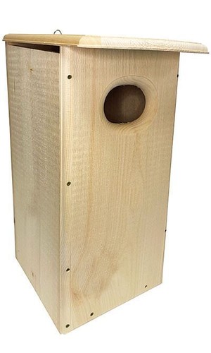 Coveside wood duck house - duck,