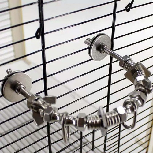 Bird perch chewing - bird,