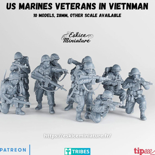 Vietnam war marines veteran - vietnam, us