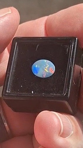Shell fossil opal doublet