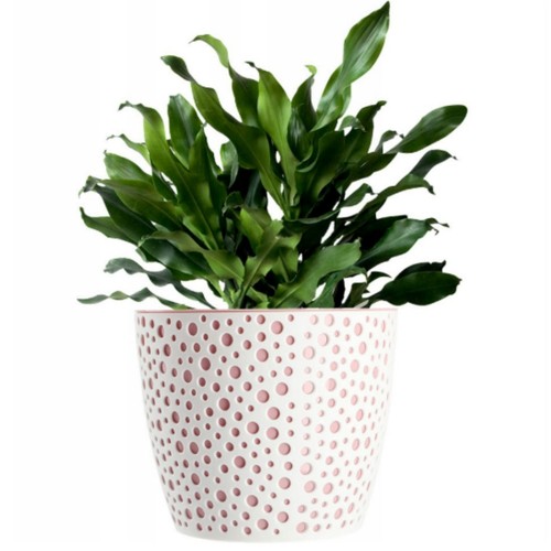 Flowerpot plant pot planter