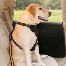 2pcs Pet Car Window Covers For