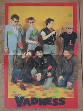 MADNESS - 1981 TWIN PAGE PIN UP UK magazine poster.