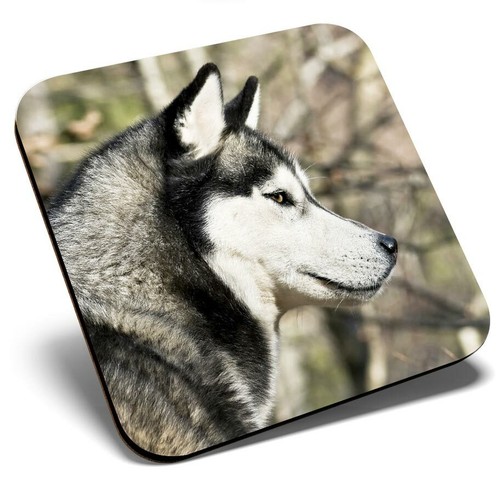 Square single coaster - square,