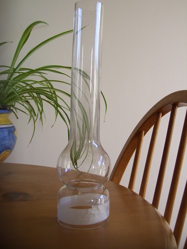 Globe vulcan line oil lamp - line,