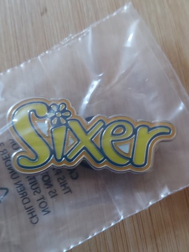 Girlguiding brownie sixer - uk,