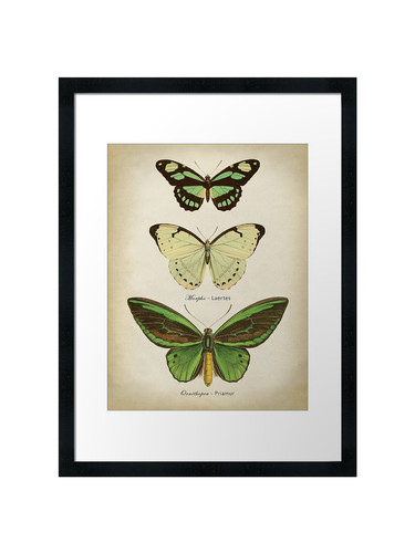Green butterflies framed wall - butterflies,