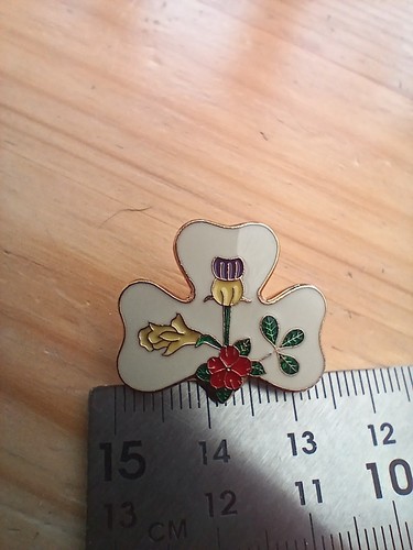 1999 girl guides international - girl,