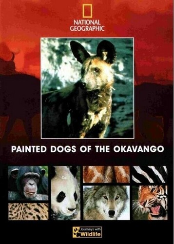 Painted dogs the okavango - the,