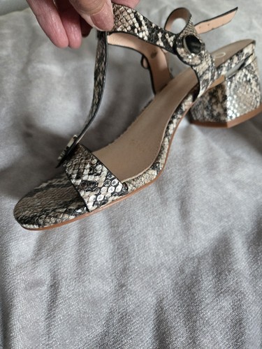 Moda pelle crocodile - moda, in