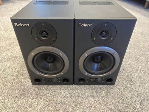 Roland 30a digital amped - roland, bi-amped