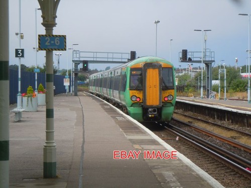 Photo southern emu 377421 - ,