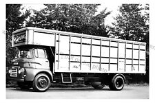 CV123 - Oldhams Livestock Transport Lorry - photograph 6" x 4" 