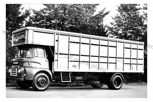 Cv123 oldhams livestock - cv123,