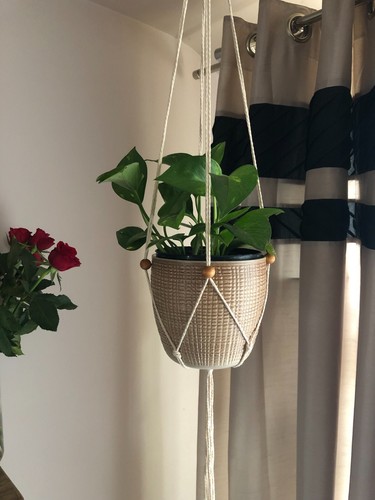 Macrame plant hanger garden - macrame,