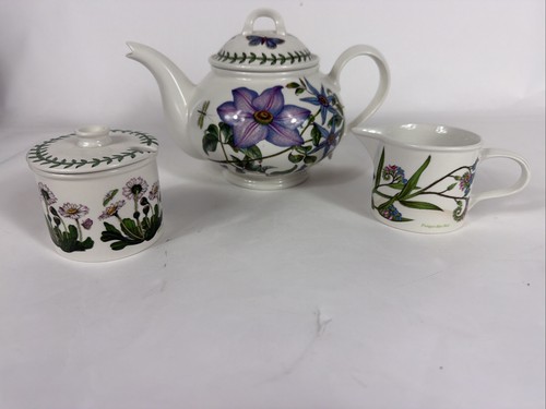 Portmeirion botanic garden - garden, tea